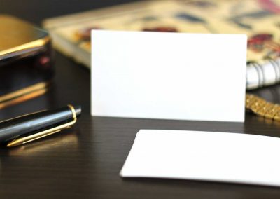 Minima veniam